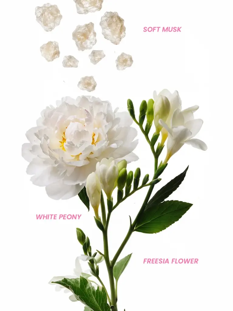 website-noteperfume_muskmood.webp