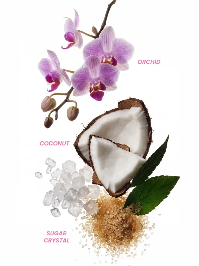 website-noteperfume_coconutkiss.webp