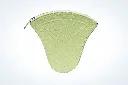 Zaria Pouch	ZP26JHGRN	Green 