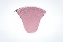 Zaria Pouch	ZP26JHPNK	Pink 