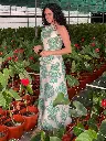 Lotus dress 