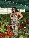 Calla top 