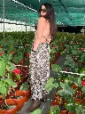 Calla pants 