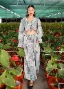 Iris pants 